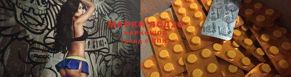 твердый Ладушкин