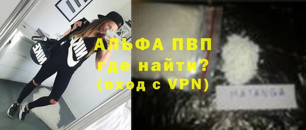 твердый Ладушкин
