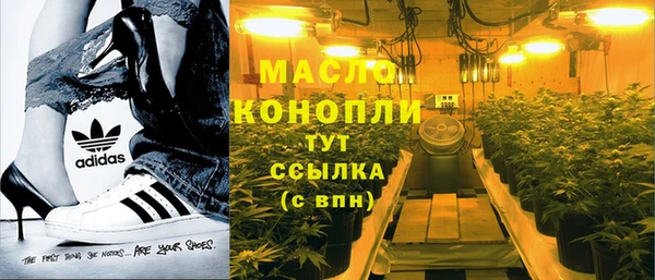 твердый Ладушкин