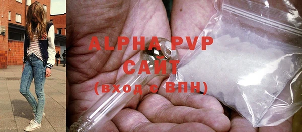 твердый Ладушкин