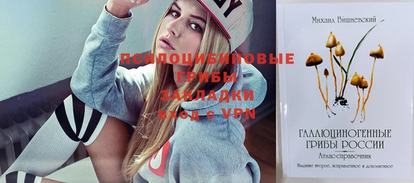 твердый Ладушкин